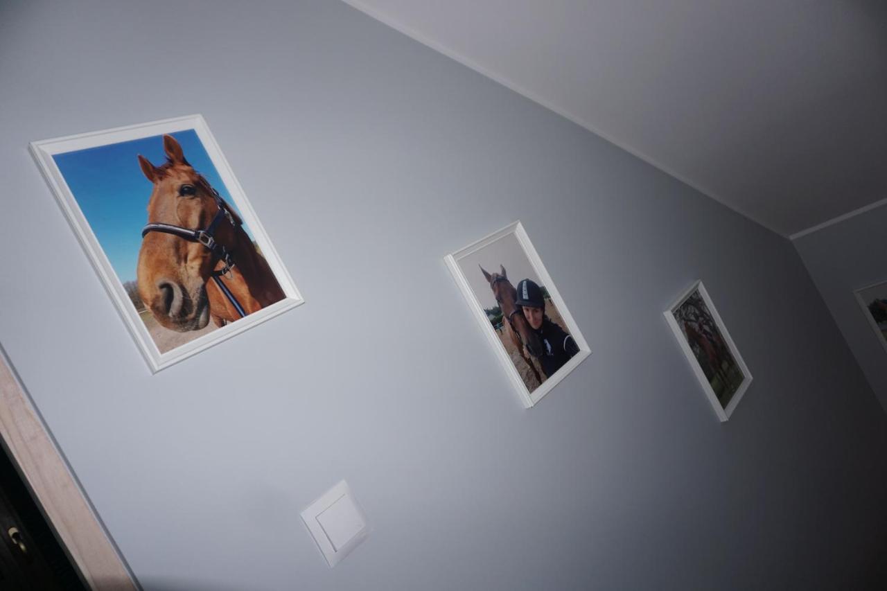 Osada Cztery Pory Roku -Dom Lato Villa Kopalino Dış mekan fotoğraf